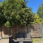 Premium Hostel