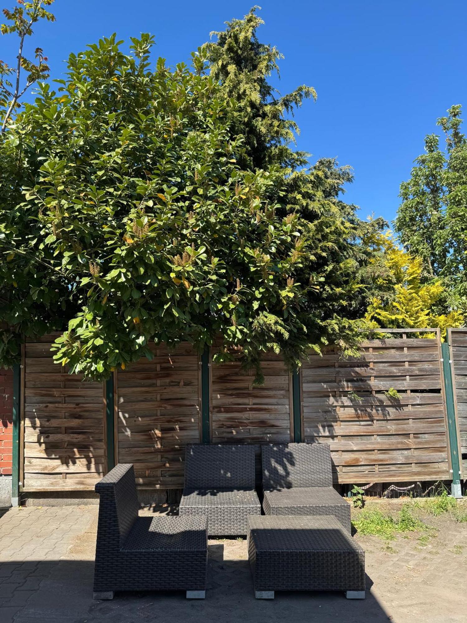 Premium Albergue *